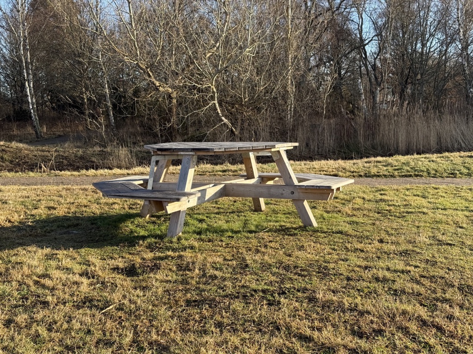Round wooden picnic table on grass in a park, with open gaps between the bench sections. Bare trees in the background.